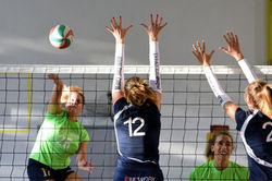 42405866_2268145980081502_65708550214480