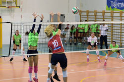 42430239_2268122040083896_31806738510800