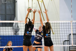 42422404_2268126746750092_25708028445337