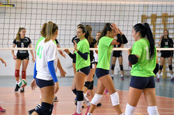 42570294_2268126566750110_86488855951179