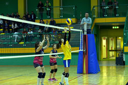 46445933_2300518520177581_82486466465947