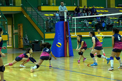 46514575_2300517213511045_54311170649851