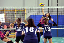 46495725_2303104539918979_26997730716858