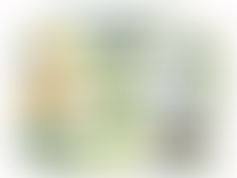 Você sabe o que significa design sustentável?