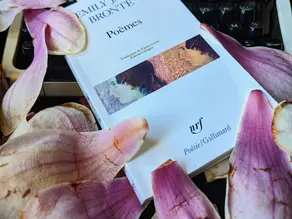 Plaidoirie pour la poésie : en quoi la poésie est-elle nécessaire ? 