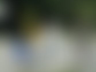 La Iglesia ya no quiere evangelizar