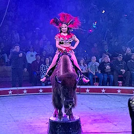 circus in Hammond, Indiana