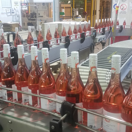 Bottling the first Dayvinleigh Rosé