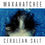 Thumbnail: Waxahatchee - Cerulean Salt