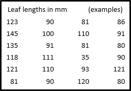 table of leaf lengths