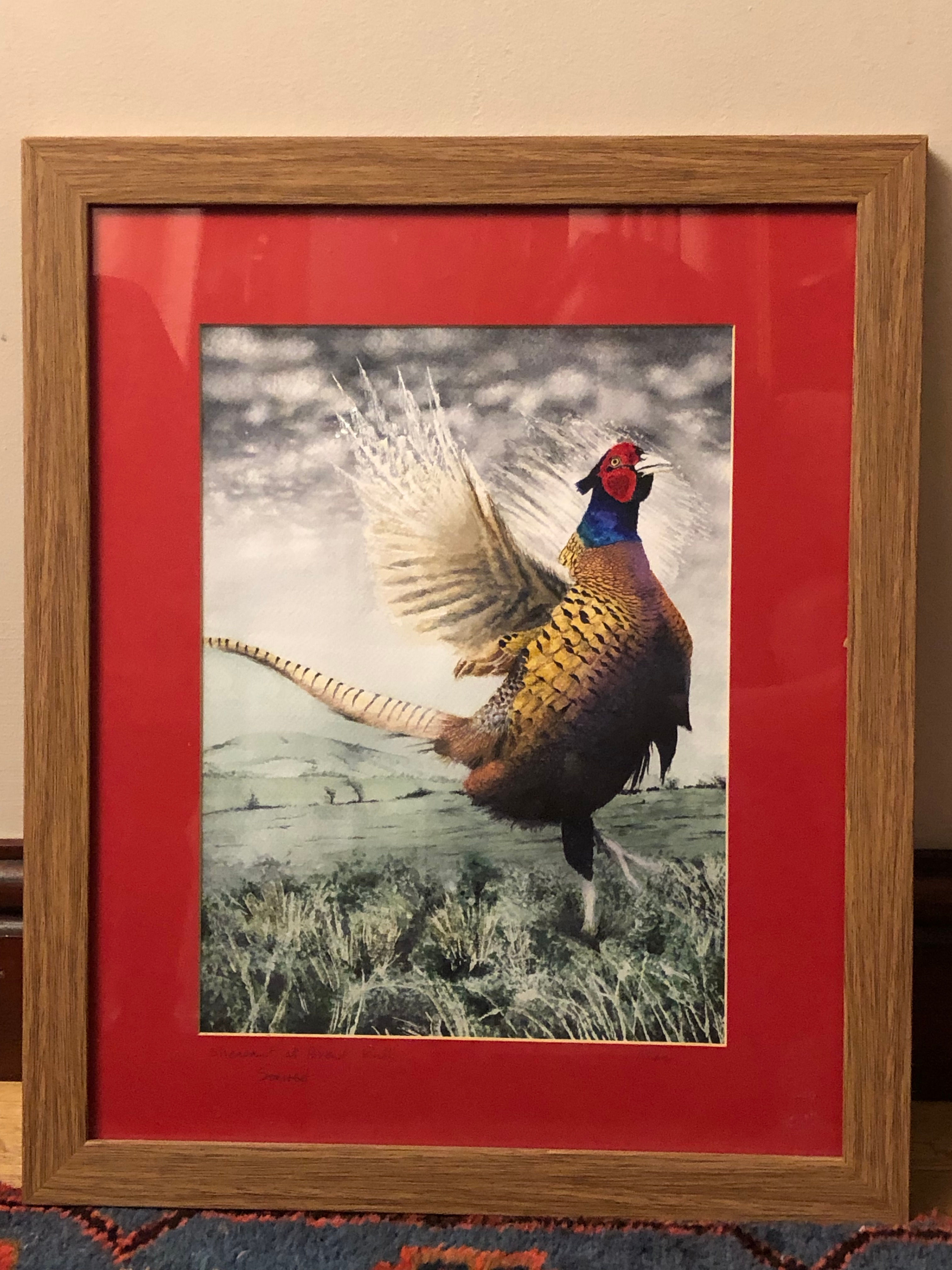 Brent Knoll Pheasant