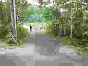 写真6