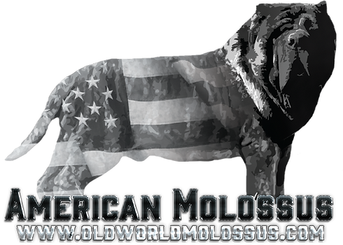 AMLogo3-UPDATEDWEBSITEANDHEADSIZE.png