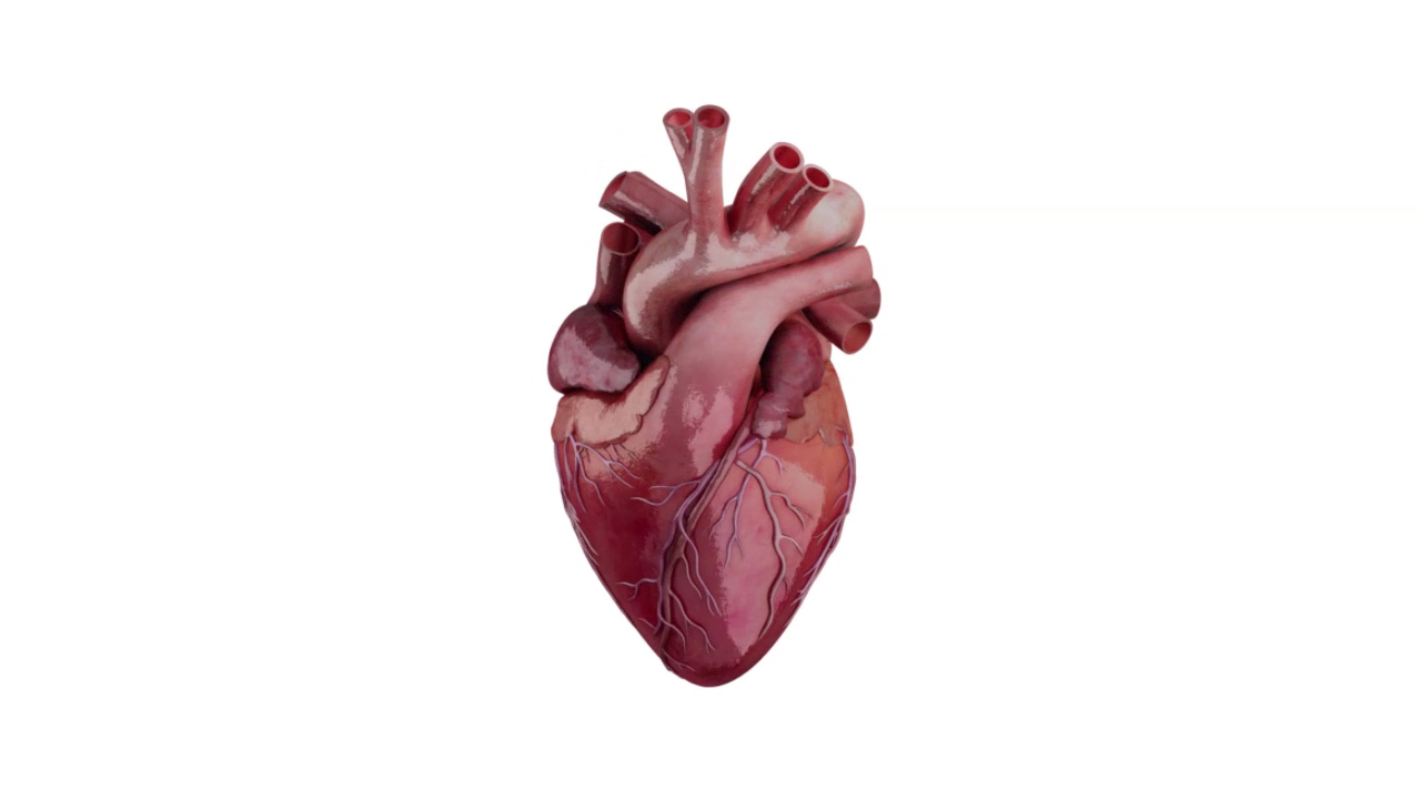Heartworks by Glassworks