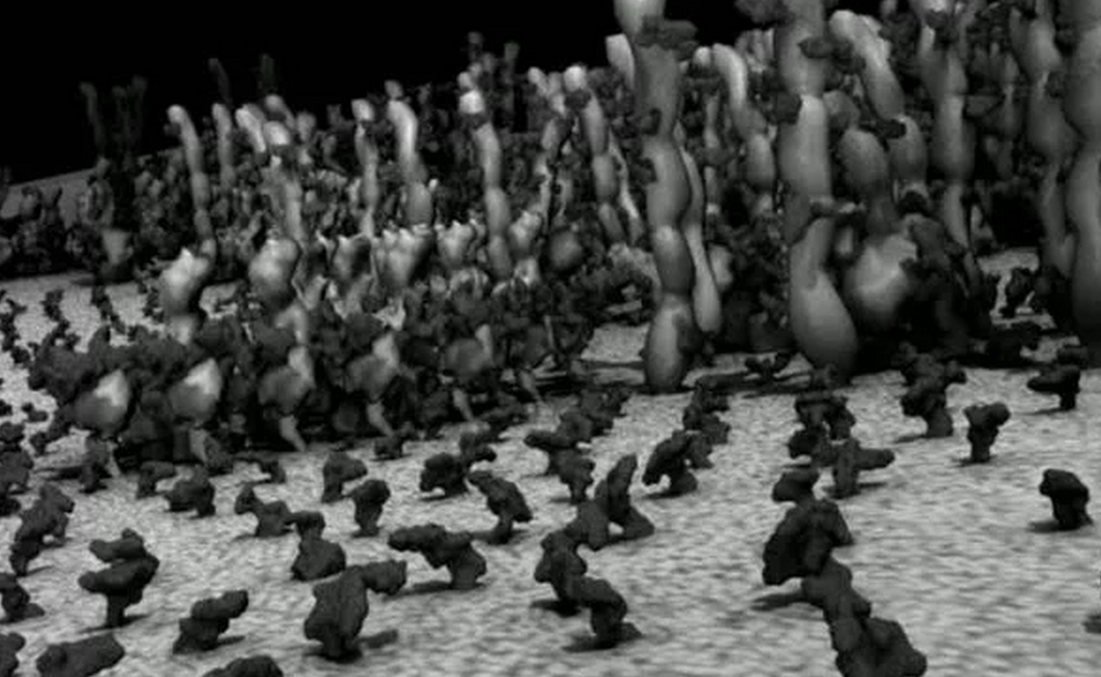 Scientific Visualization