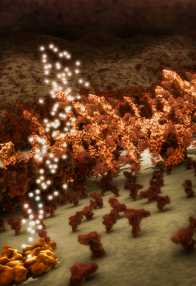 Scientific Visualization