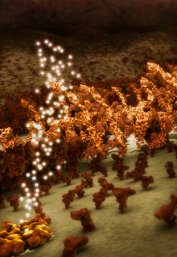 Scientific Visualization
