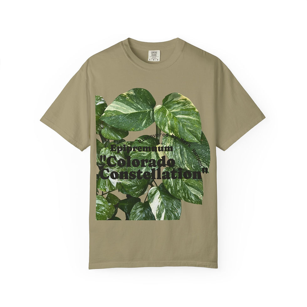 Thumbnail: Colorado Constellation Graphic Tee
