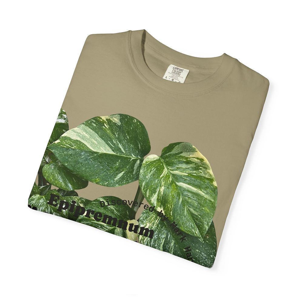 Thumbnail: Colorado Constellation Graphic Tee