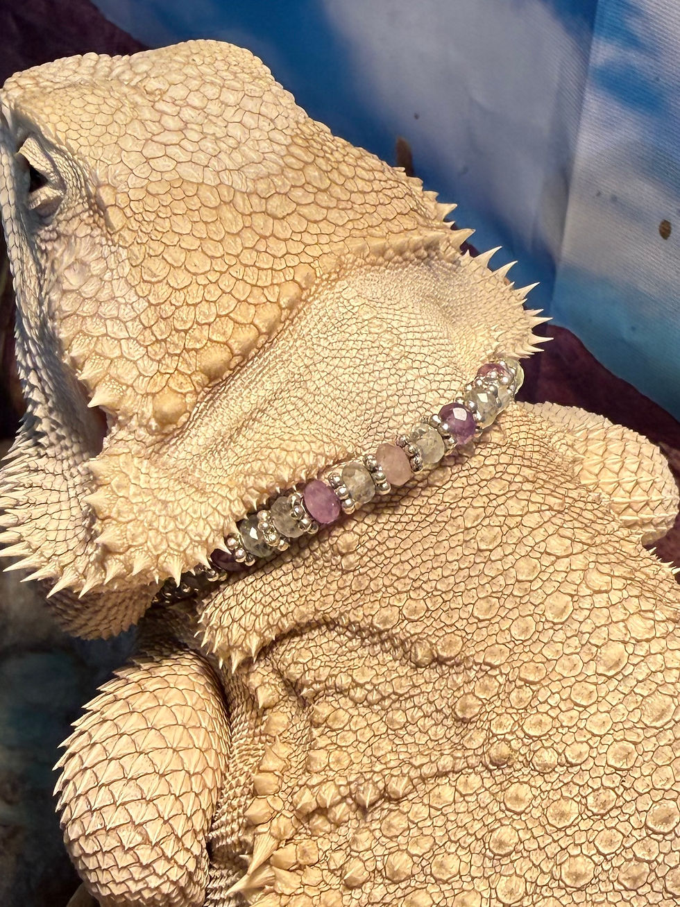 Thumbnail: Fluorite Bearded Dragon Necklace with Sterling Silver Accents- 4mm Slim