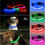 Thumbnail: LED Glowing Leashes For Cats/Dog
