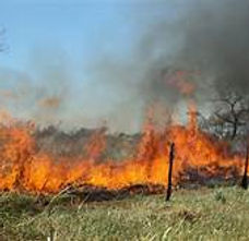 INCENDIOS.jpg