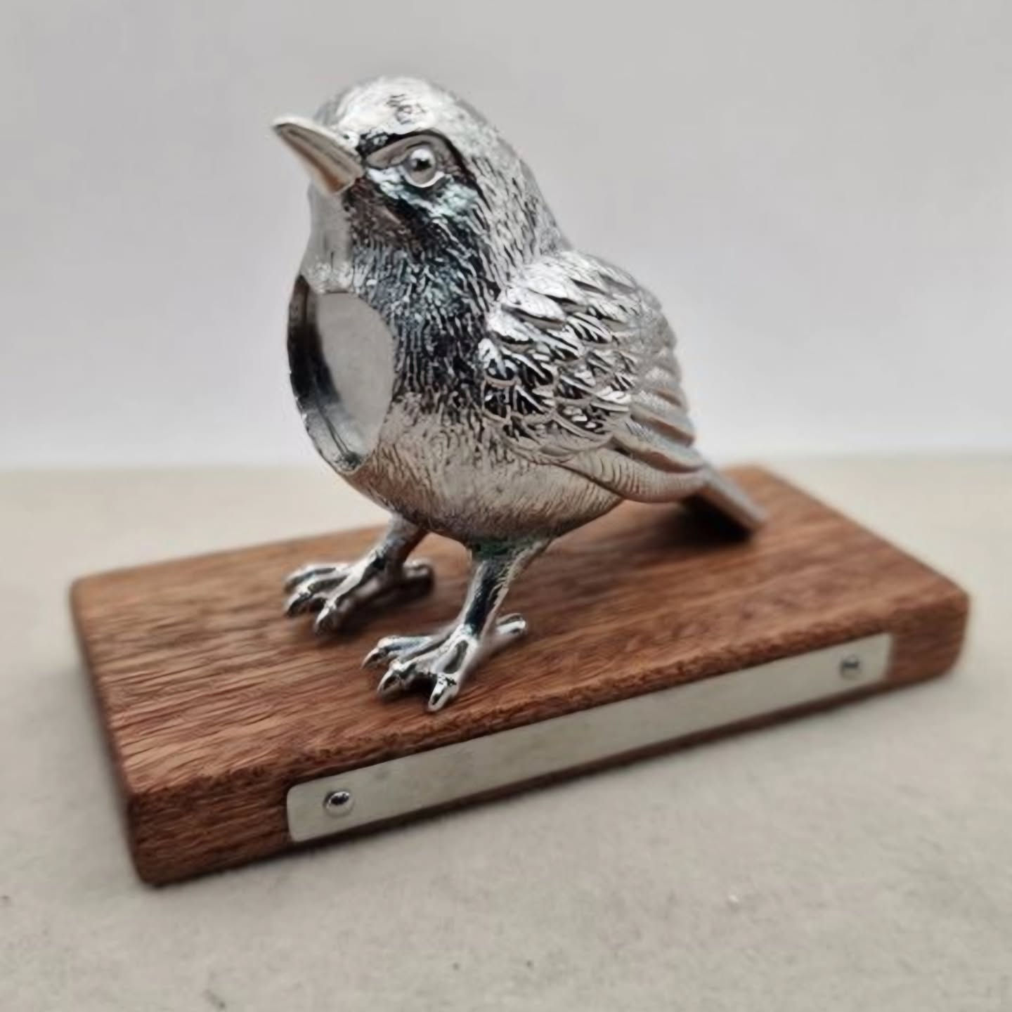 Stainless steel 3d Robin