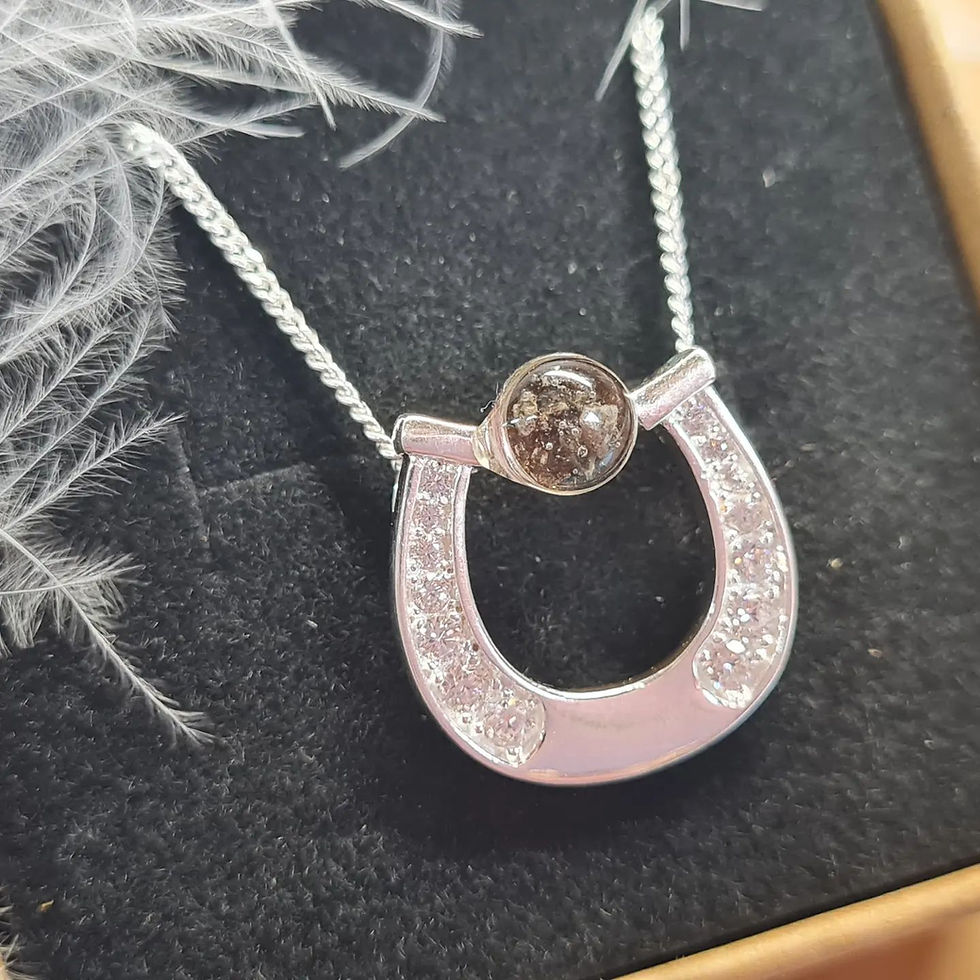 Thumbnail: Horseshoe necklace