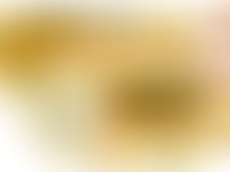 夏野菜栽培開始！鉄腕”はぁと村”