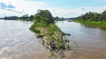 Déjate cautivar por el Amazonas