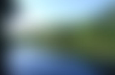 Algunas curiosidades sobre la Amazonia