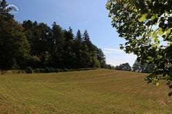 PietraCorva (07)