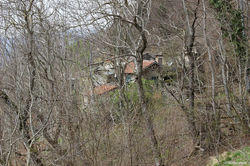 IMG_4756.jpg