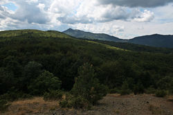 IMG_7062.jpg