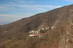 IMG_0623.jpg