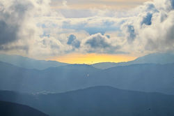 IMG_3931.JPG