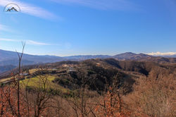 IMG_7548