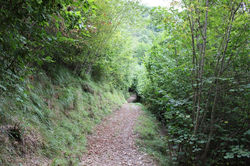 IMG_8521.jpg