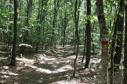 PietraCorva (11)