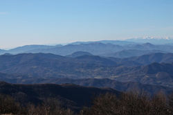 IMG_3096.JPG