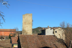 IMG_4890