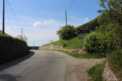 IMG_8068.jpg