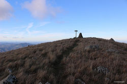 IMG_9963.jpg