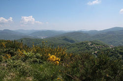 IMG_0580.JPG