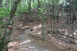 PietraCorva (63)