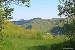 IMG_8070.jpg