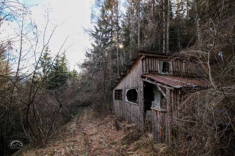 La capanna dei forestali