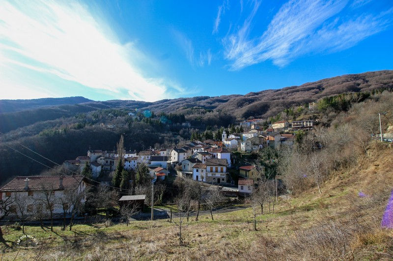Caldirola