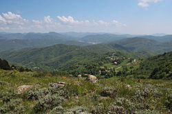 IMG_0538.JPG