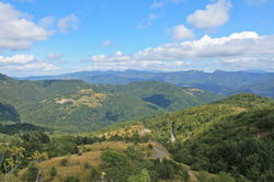 IMG_6811.JPG